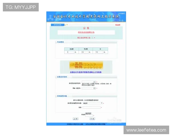 亚星登录官网118官方入口指南，详细介绍登录流程与注意事项