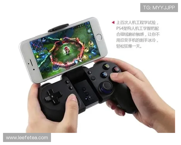 亚星游戏端入口故障排查与快速解决方案确保玩家顺利游戏体验