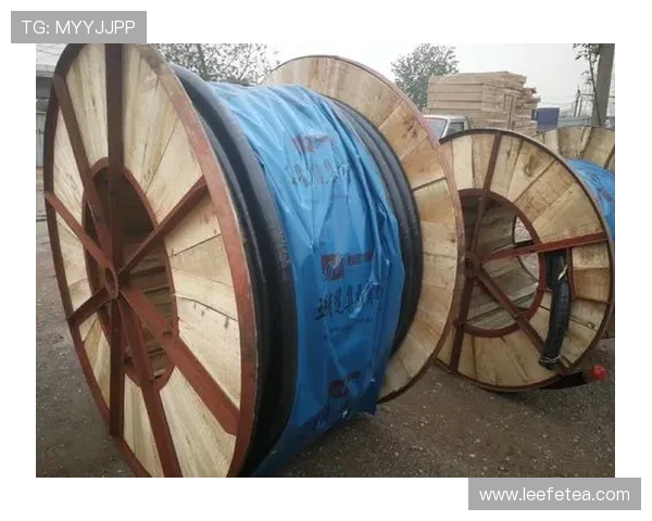 亚星线缆出事事件背后隐藏的问题及企业应对措施全面解读